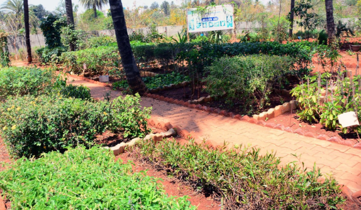 SDM Institute of Ayurveda Bangalore, Herbal Garden