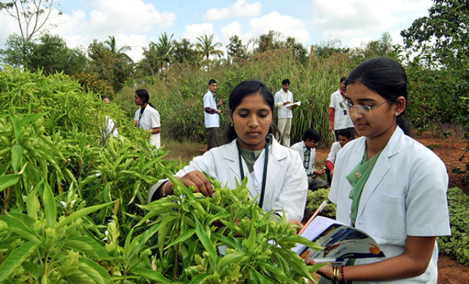 Atreya Ayurvedic Medical College, garden